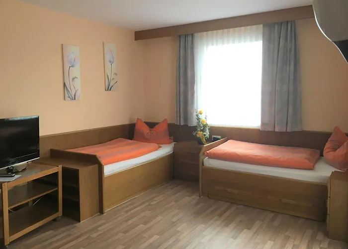 Haus Erna Apartment *