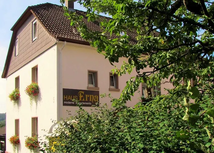 Haus Erna Apartment *